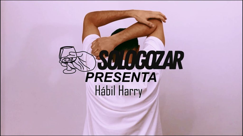 Hábil Harry